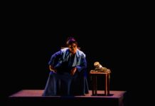 Artistas veracruzanos destacan en el Premio Nacional de Danza Guillermo Arriaga