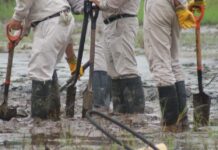 La tortuosa relación de Veracruz con Pemex / Yamiri Rodríguez Madrid