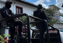 Acumula Veracruz más de 63,000 delitos en 10 meses; repuntan los casos de feminicidio