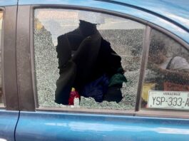 Cada día, en promedio, se denunciaron en Veracruz 15 robos de vehículos