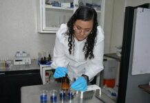 Egresada UV desarrolló sistema para detección de biomarcadores de cáncer