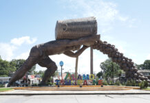 Caída de El Colotero en Álamo, sin riesgo para la población