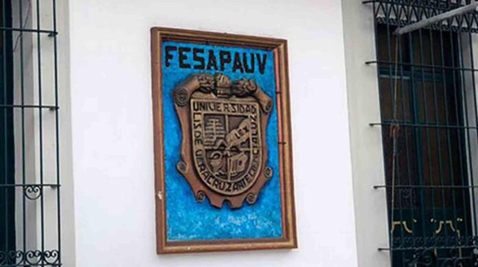 FESAPAUV