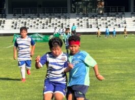 Se realizaron las finales de la copa Estadio Pirata Fuente