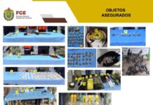 Detienen a 11 personas en 10 operativos realizados en Veracruz