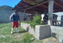 Altosano Granjas Carroll impulsa rotación de cultivos y producción forrajera