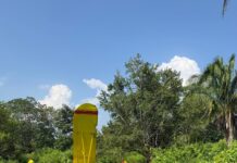 Sobreviven dos pasajeros tras caída de avioneta fumigadora en Chacaltianguis