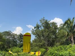 Sobreviven dos pasajeros tras caída de avioneta fumigadora en Chacaltianguis