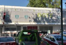 En Veracruz deudores alimentarios no accederán a licencia de manejo