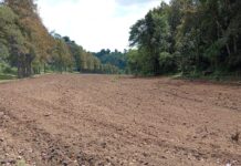 Exigen declaratoria de emergencia ambiental por plaguicidas en cultivo de papa