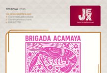 Artistas y colectivos invitan a disfrutar del Festival Música por la Huasteca en el JEX