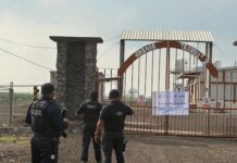 En Veracruz operan granjas avícolas ilegales; clausuran dos en Lerdo