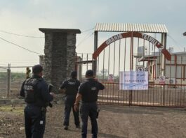 En Veracruz operan granjas avícolas ilegales; clausuran dos en Lerdo