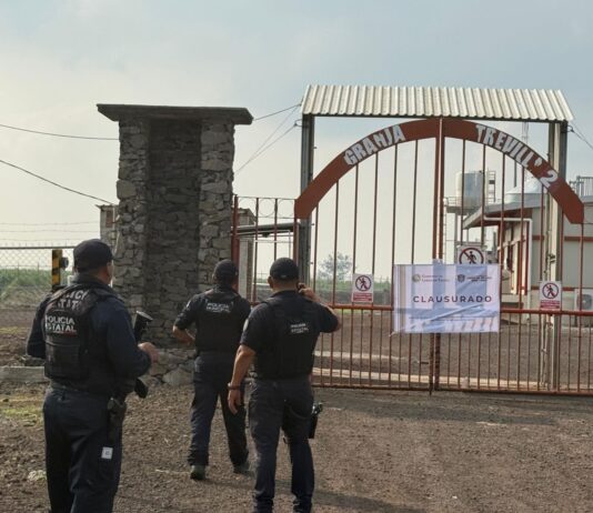 En Veracruz operan granjas avícolas ilegales; clausuran dos en Lerdo