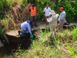 Inspecciones, monitoreo ambiental y operativos en el sur de Veracruz: PMA