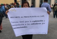 Cafeticultores de Veracruz denuncian «Sabotaje» de la Ley del Café