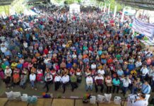 Gobierno de Veracruz invierte en la recuperación del sector primario tras las inundaciones en la zona norte