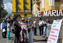 Alertan cafetaleros desplome de precios e importaciones de café sin calidad