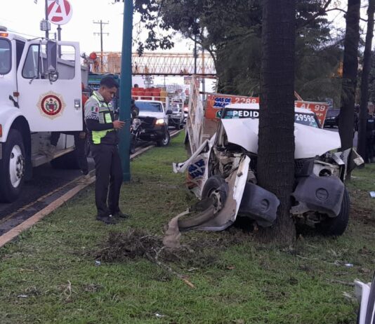 Camioneta gasera choca contra árbol en Las Trancas; chofer queda prensado