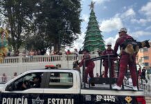 Veracruz, entre los estados con mayor número de policías asesinados: Causa en Común