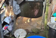 Doña Victoria vivirá complicada Navidad desde una colonia marginada de Xalapa