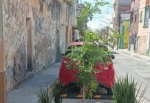 Ganarle espacio al asfalto: proyecto que está transformando el paisaje urbano