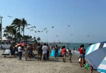Detectan altos niveles de bacterias en la playa José Martí de Veracruz