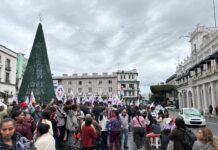 Cardenistas se manifiestan en Xalapa sin saber el motivo