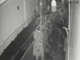 Ola de robos sacude la zona comercial de Las Trancas, denuncian