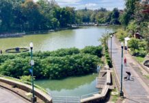 Buscan distintivo de «Barrio Mágico» para El Dique