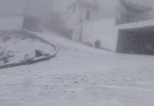 Cae primera nevada de la temporada en el Cofre de Perote