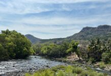 Municipios deberán sanear río La Antigua tras amparo: ambientalistas