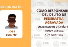 Sentenciado a 19 años de prisión por pederastia agravada en Soledad de Doblado