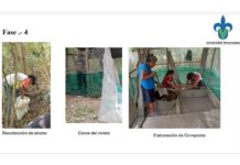 Estudiantes de UV-Intercultural promueven huertos de traspatio