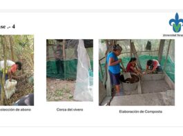 Estudiantes de UV-Intercultural promueven huertos de traspatio