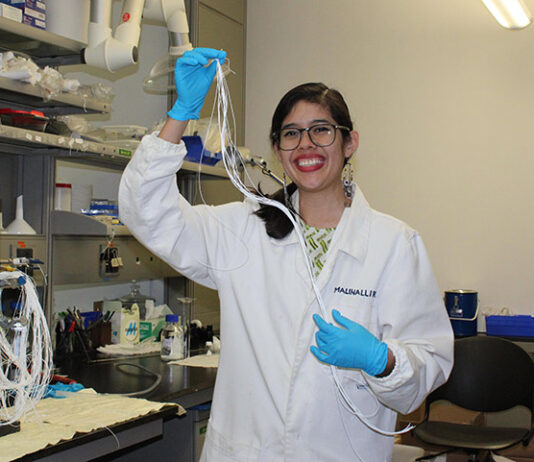 Investigación de egresada UV busca reducir contaminación por plásticos