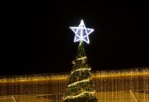 La familia y la unidad, ejes del gobierno de Veracruz: Rocío Nahle