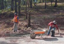 Al 70 por ciento construcción de caminos artesanales en Veracruz: SCIT