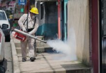 Acumula Veracruz 2,749 casos de dengue; se reportan 2 defunciones