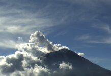 Registra el Popocatépetl 6 exhalaciones con gases volcánicos y ceniza