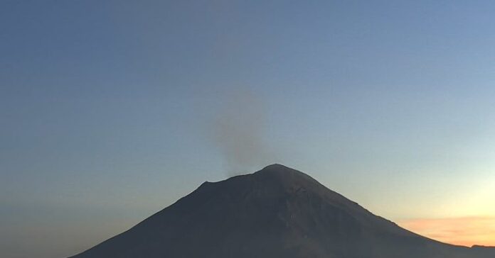 highlight_WhatsApp_Image_2025-12-04_at_6.10.00_PM