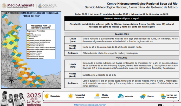 imagen_2025-11-30_171938521