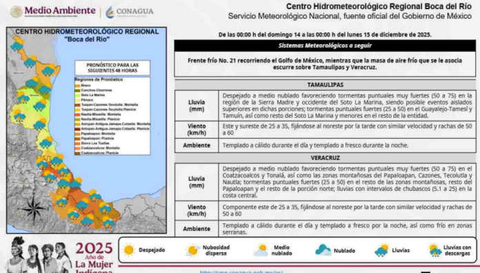 imagen_2025-12-13_215751525