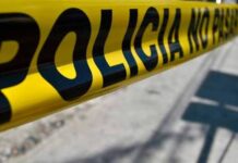 Veracruz, en el top 5 de violencia letal contra policías: Causa en común