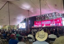 Los últimos informes, sin pena ni gloria / Yamiri Rodríguez Madrid