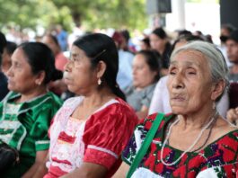 Programas sociales benefician a más de 2 millones de veracruzanos: Primer Informe