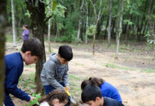 Eco Jornadas LTH fortalecen su impacto comunitario en 2026 en Coatzacoalcos