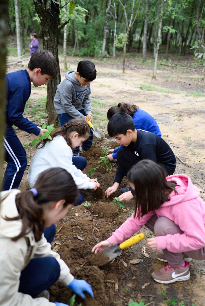 1 Actividades niños