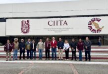 Suman AGRICULTURA y academia esfuerzos en recuperación de la citricultura de Veracruz