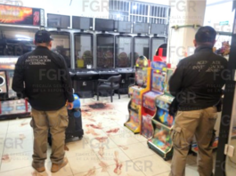 FGR asegura 38 máquinas tragamonedas en Tuxpan